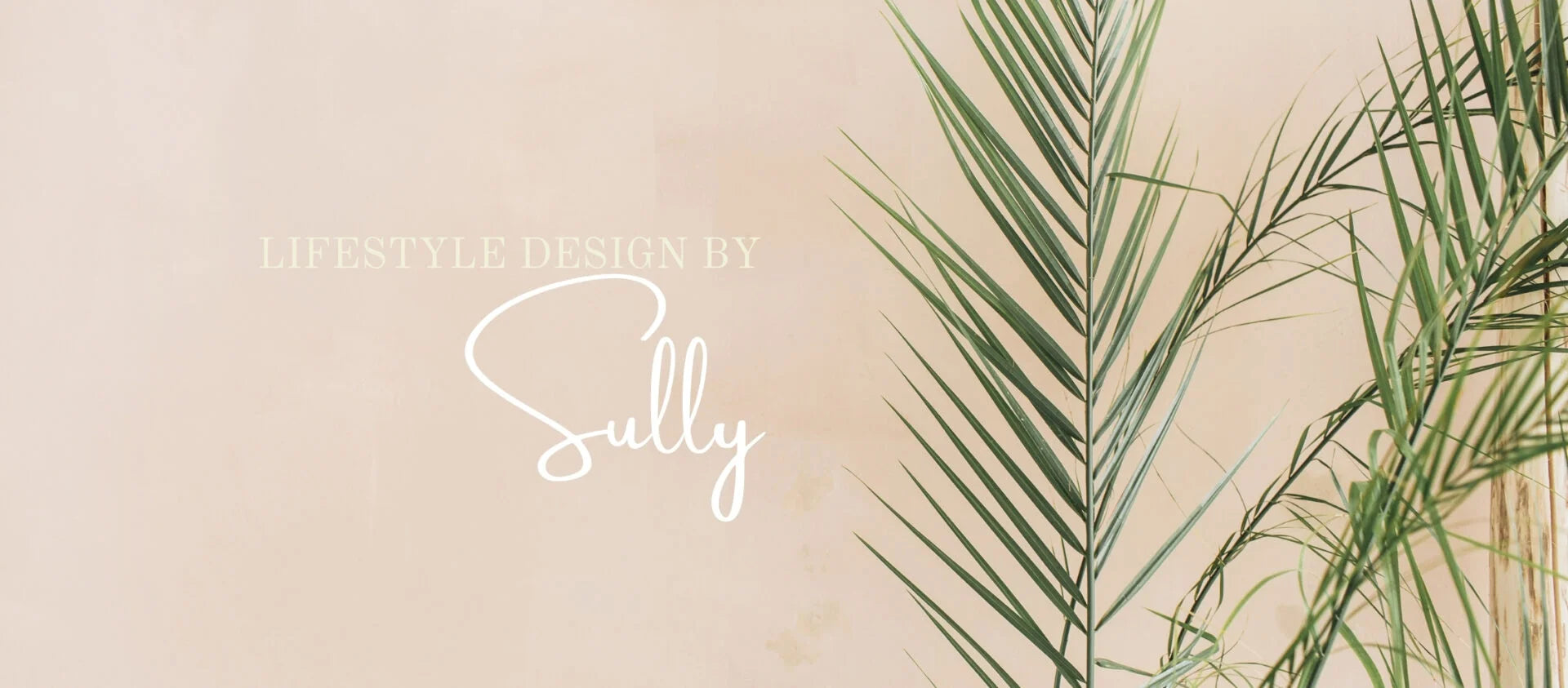 Design By Sully Feature Story